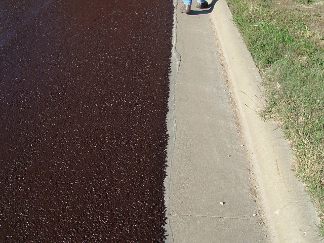 Micro Surfacing (микросюрфейсинг) - это микропрофилирование (микропокрытие, микрошлифовка) поверхности существующего дорожного покрытие из асфальта