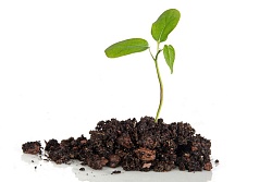 Жидкие пылеподавители на безводной основе